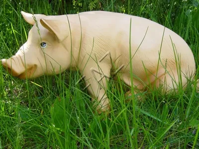 Produktbild von Design Schwein Figur Garten Statue Skulptur Figuren Skulpturen Dekoration c486