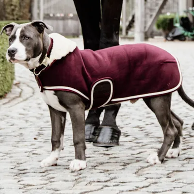 Produktbild von Kentucky Dogwear Hundemantel Heavy Fleece Hundejacke Bordeaux S/M