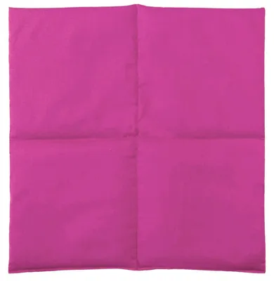 Produktbild von Bio Dinkelkissen 40x40cm 4-Kammer groß pink - Wärmekissen Körnerkissen