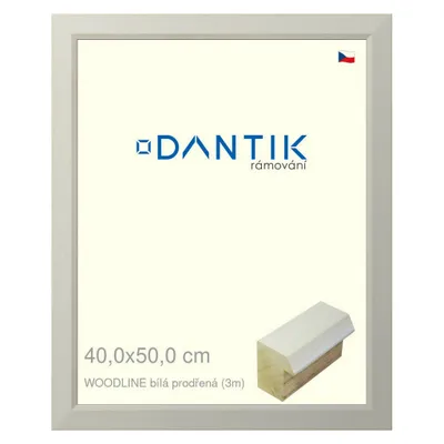 Obrázok produktu pre Rám DANTIK 40x50 | WOODLINE biely dierovaný (plexisklo číre)