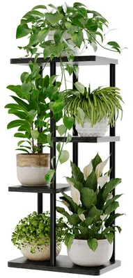 Image de Support pour plantes en métal et en bois avec 4 étagères, idéal pour l'intérieur