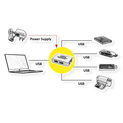 Image de ROLINE Hub USB 2.0 "Black and White", 4 ports, avec adaptateur secteur