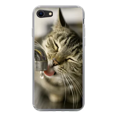 Produktbild von MuchoWow® Handyhülle Schutzhülle Hülle für iPhone 8 Katze - Wasserhahn - Getränk Silikon Softcase Handy Hülle - Schutzhaube