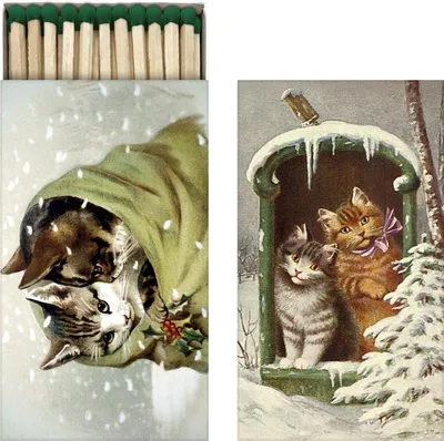 Image de Feuerzeug mit Katzenmotiv aus der Serie 'Cats', geeignet als Geschenk