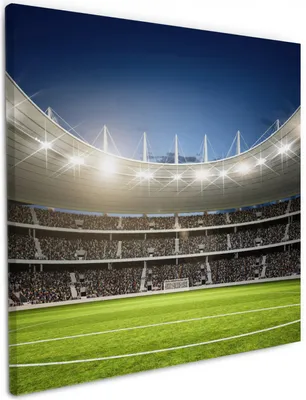 Produktbild von Wallario Premium Leinwandbild Fußballstadion Mittellinie in Größe 50 x 50 cm