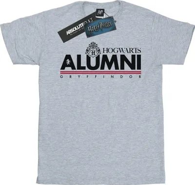 Produktbild von Harry Potter - "Hogwarts Gryffindor" T-Shirt für Herren BI30076 (L) (Grau)