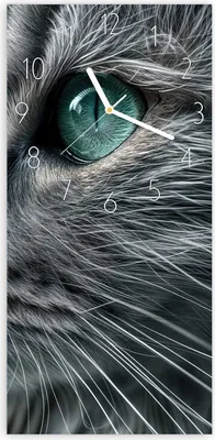 Produktbild von Wanduhr aus Glas mit Motiv Nahaufnahme Katze- 30 x 60 cm - inkl. Aufhängesystem