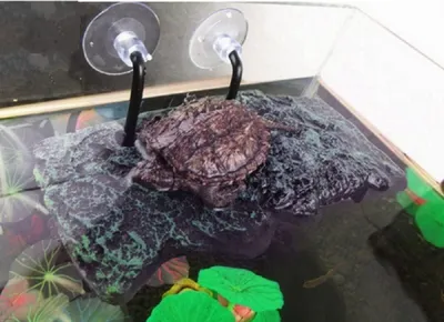 Produktbild von Schildkrötenplattform schwimmend, PolyurethanSchaum, 20x9x2 cm, für Aquarien