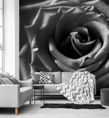 Produktbild von Fototapete Rosen schwarz weiß, Material:Superior Vlies 350 g/qm, Größe Tapete:520 x 300cm