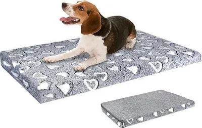 Produktbild von Famanu Hundebett – Elegantes Hundekissen