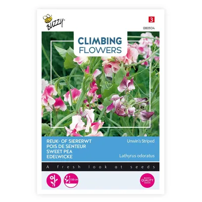 Produktbild von Buzzy Climbing Flowers Lathyrus Unwin's Striped Samen - Ca. 4 gr | Buzzy_080934