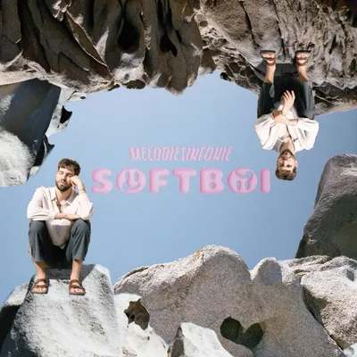 Produktbild von Melodiesinfonie: Softboi - - (LP / S)