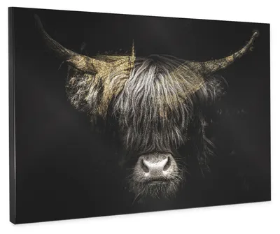 Produktbild von STYLER Leinwandbild 85x113 cm Canvas Silver Kyloe modernes Wandbild dekorative Wanddeko Wohnzimmer Schlafzimmer Büro