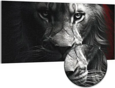 Produktbild von DEQORI Hybrid Leinwand Bild 100x50 cm 'Stärke im Blick' Wandbild Glas flach modern