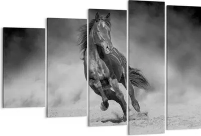 Produktbild von Bild auf Leinwand - Leinwandbild - 5 Teile - Pferd Galopp dynamisch - 150x100cm - Wand Bild - Wanddeko - Wandbilder - Leinwanddruck - Bilder - Wanddekoration - Leinwand bilder - EG150x100-5023