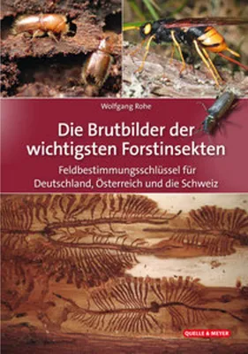 Immagine prodotto di Die Brutbilder der wichtigsten Forstinsekten
