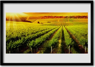 Produktbild von Bild 100x70 MDF-Rahmen Wandkunst Feld Natur