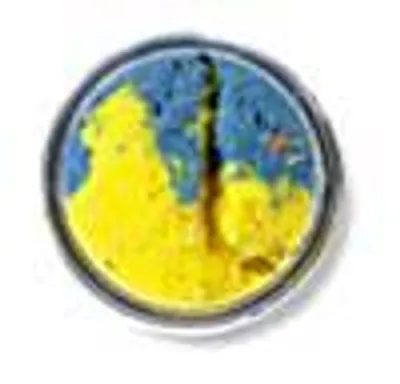 Produktbild von Berkley PowerBait Glitter Turbo Dough - 50g Forellenteig, Farbe:Neon Blau / Gelb