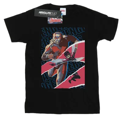 Obrázek produktu pro Marvel - Pánské tričko "Avengers And" BI6505 (L) (Black)