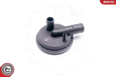 Produktbild von ESEN SKV 31SKV009 Ventil Kurbelgehäuseentlüftung PCV für VW Golf IV Schrägheck (1J1)