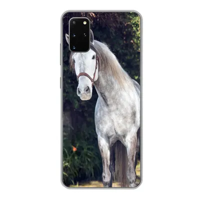 Produktbild von MuchoWow® Handyhülle Schutzhülle Hülle für Samsung Galaxy S20 Plus Pferd - Halfter - Natur Silikon Softcase Handy Hülle - Hartschale
