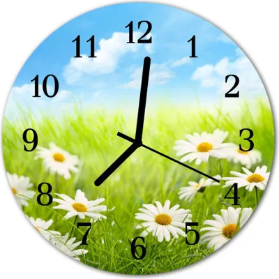 Produktbild von Glasuhr Wanduhr Küchenuhr Echt-Glas 30fi cm Wiese grün