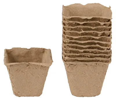 Image de Lot de 12 pots de culture pour semis et jeunes plants, Ø 8 x 7,6 cm