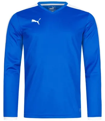Produktbild von 140|PUMA Pitch Kinder Langarm Trikot 702088-02J