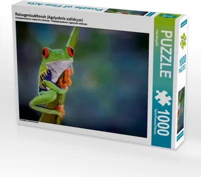 Produktbild von Calvendo Rotaugenlaubfrosch (Agalychnis callidryas) 1000 Teile Puzzle quer 640x480mm, Bergwitz Uwe; 7386887