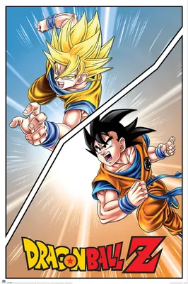 Obrázek produktu pro Dragon Ball Z – Speciální Goku – Plakát 61 x 91,5 cm