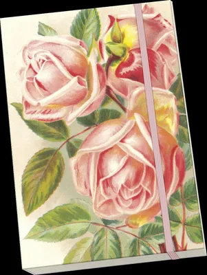 Image de Bloc-notes Roses roses