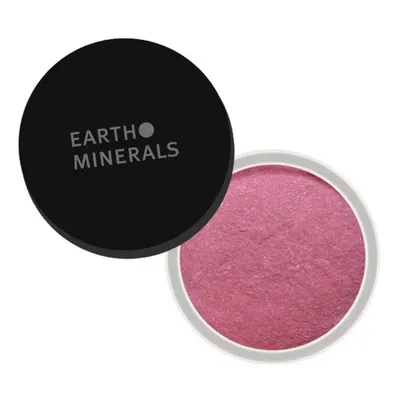Image de Fard à joues mat satiné - fuchsia 4g