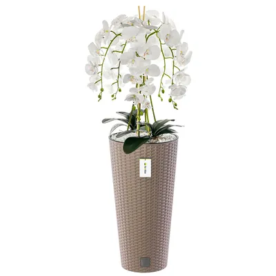 Obrázok produktu pre Umelá orchidea kaskádová kytica biela v kvetináči moka H 110 cm dekorácia do domácnosti, umelá rastlina orchidea, umelý kvet, umelá orchidea v kvetináči
