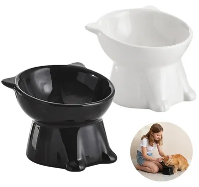 Produktbild von 2er Set Katzennapf erhöht Neigung Design Weiß & Schwarz