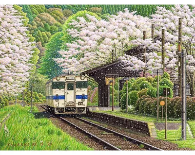 Image de Omgoods - Puzzle de 1000 pièces pour adultes - Fleurs de cerisier