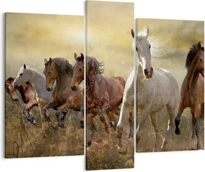 Produktbild von Bild auf Leinwand - Leinwandbild - Pferd Tier Natur - 95x80cm - Wand Bild - Wanddeko - Wandbilder - Leinwanddruck - Bilder - Kunstdruck - Wanddekoration - Leinwand bilder - Wandkunst - CB95x80-3640