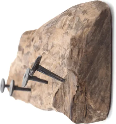 Produktbild von WANDGARDEROBE "TEAKROOTS 50" | Teakholzwurzel, 50x12cm(LxH)