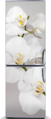 Produktbild von Tulup Kühlschrankdekoration - Magnetmatte - 70 cm x 190 cm - Magnet auf dem Kühlschrank - Orchidee