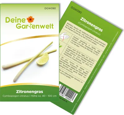 Zitronengras  Samen - Cymbopogon citratus - Zitronengrassamen - Kräutersamen - Saatgut für 100 Pflanzen
