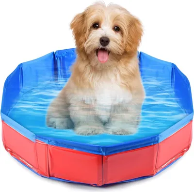 Produktbild von Aufblasbares Hundepool - PVC Badewanne - rutschfestes Schwimmbad - tragbar und umweltfreundlich - groß und klein - 50 x 8 cm Hundepool