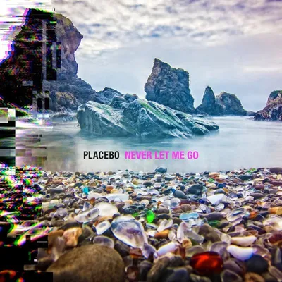 Zdjęcie produktu dla Placebo - Never Let Me Go (2 LP)