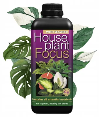 Zdjęcie produktu dla Growth Technology - Nawóz do roślin pokojowych 1000 ml - Houseplant Focus - Uniwersalny - Nawóz płynny