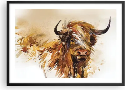 Produktbild von Gerahmtes Poster - Schwarzer Rahmen - Stier Scotch Aquarell - 70x50 cm - Wand Bild - Wanddeko - Wandbilder - Kunstposter - Wandposter - Bilderrahmen - Bilder - Kunstdruck - P2BAA70x50-4708