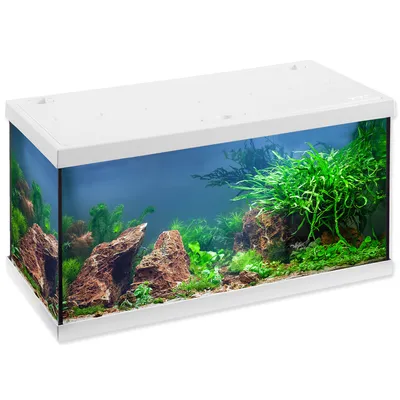 Image de Aquarium set Aquastar LED blanc 54 l