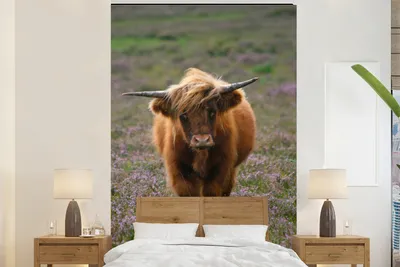 Produktbild von MuchoWow® Fototapete für Wohnzimmer oder Schlafzimmer Wandtapete Vinyl Motivtapete Schottische Hochlandbewohner - Heidelandschaft - Tiere - 195x300 cm - Das Hintergrundbild