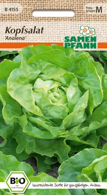Produktbild von Kopfsalat Analena | Kopfsalatsamen von Samen Pfann [MHD 01/2000]