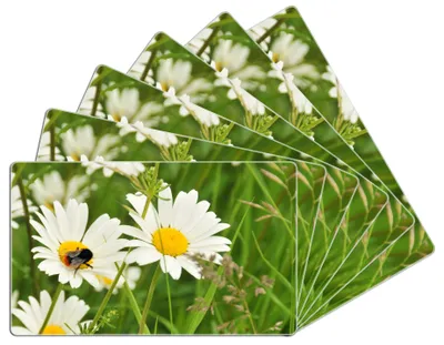 Produktbild von Wallario Frühstücksbrettchen 6er Set aus Glas, je 14 x 23 cm, mit rutschfesten Füßen, Motiv Margeritenwiese