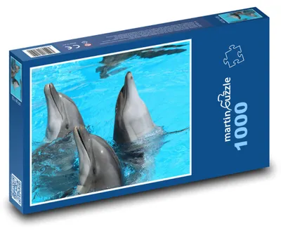 Produktbild von Puzzle 1000 Delfine im Badeparadies - martinpuzzle