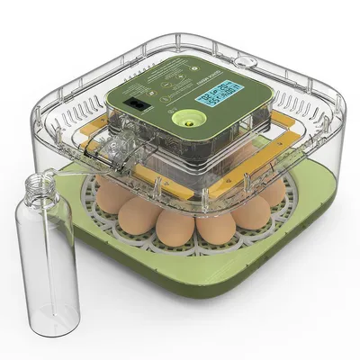 Produktbild von Intelligenter Heim-Brutautomat mit 360°Sichtfenster,integrierter Eierlampe,automatischer Luftbefeuchtung,leiser Betrieb,einfach zu bedienen,12 kleine