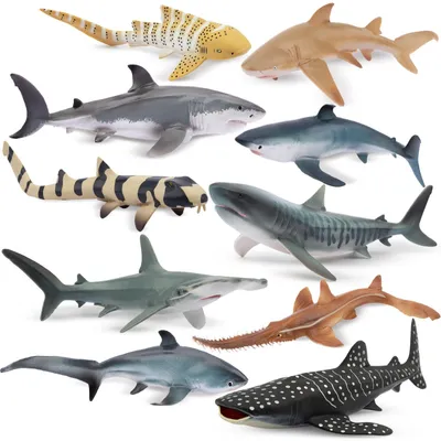 Image de Lot de 10 figurines d'animaux, 10-17 cm, figurines océan, jouets, 10 figurines de requins
